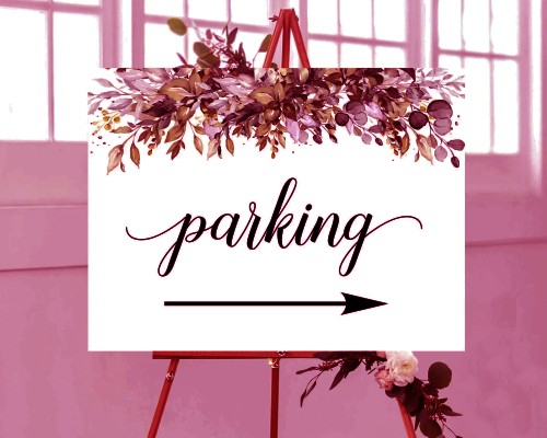 Valet Parking Services Weddings chandigarh panchkula mohali zirakpur